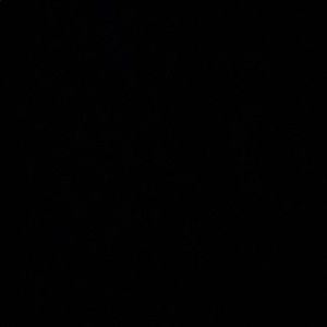 Meet your Posher, Zach